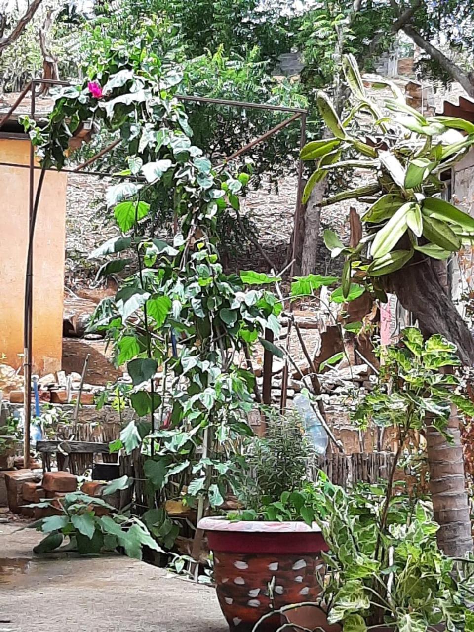 El Jardin Hotel Сан Хуан дел Сур Екстериор снимка